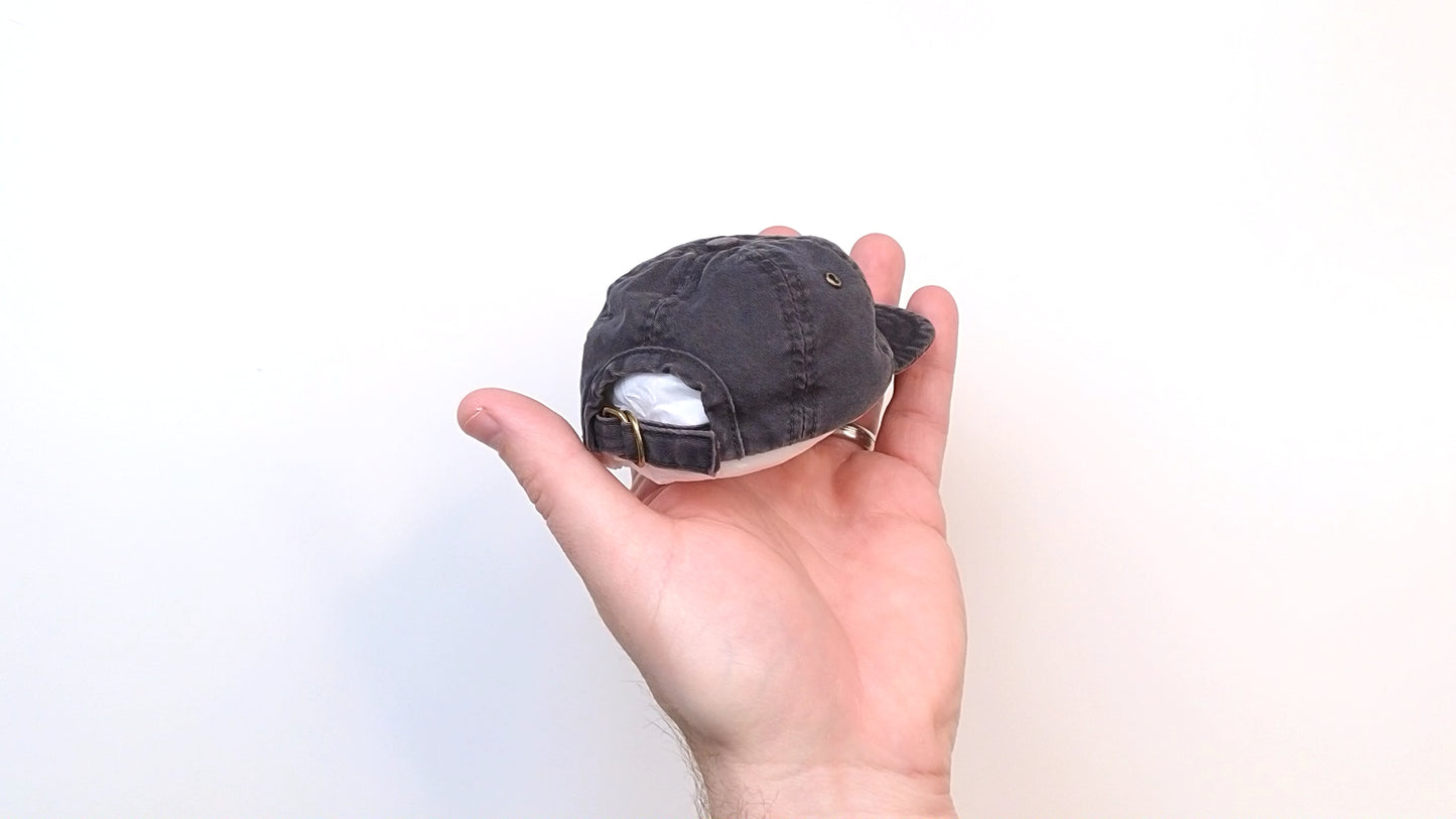 Baseball Cap (Charcoal)